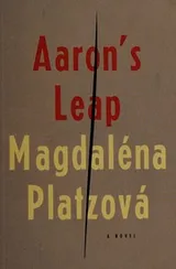 Cover of Aaron's leap