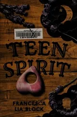 Cover of Teen spirit