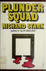 Cover of Plunder squad