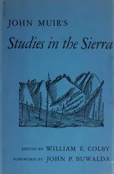 Cover of Studies in the Sierra