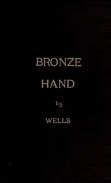 Cover of The bronze hand