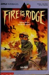 Cover of Fire on the Ridge