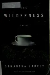 Cover of The Wilderness