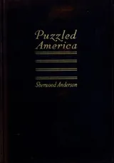 Cover of Puzzled America