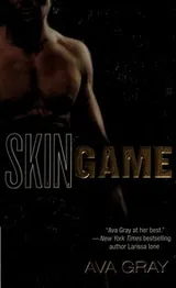 Cover of Skin game