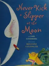 Cover of Never kick a slipper at the moon