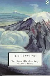 Cover of The woman who rode away, and other stories