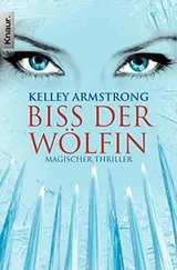 Cover of Biss der Wölfin