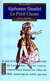 Cover of Petit chose
