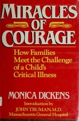 Cover of Miracles of courage