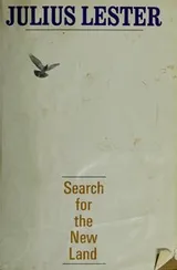 Cover of Search for the new land