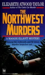 Cover of The Northwest murders