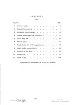 Cover of Remount Blue the combat story of the 3d Battalion, 86th Mountain Infantry