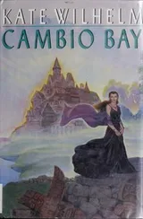 Cover of Cambio Bay