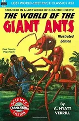 Cover of The World of the Giant Ants, Illustrated Edition