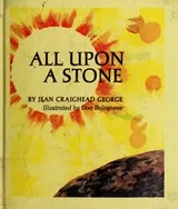 Cover of All upon a stone