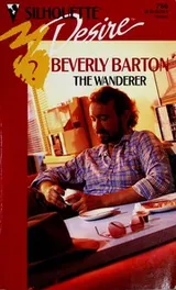 Cover of Wanderer