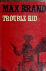 Cover of Trouble kid