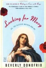 Cover of Looking for Mary