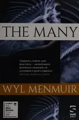 Cover of The Many