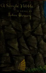 Cover of A single pebble