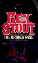 Cover of The broken vase