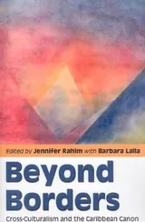 Cover of Beyond borders