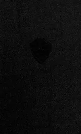 Cover of American Fiction