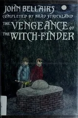 Cover of The Vengeance of the Witch-Finder