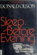 Cover of Sleep before evening