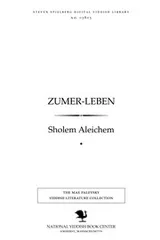Cover of Zumer-leben