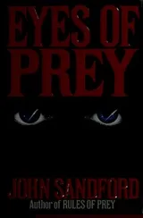Cover of Eyes of prey