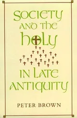 Cover of Society and the holy in the late antiquity