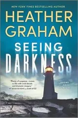 Cover of Seeing darkness