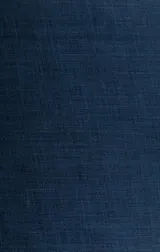 Cover of The unseen assassins