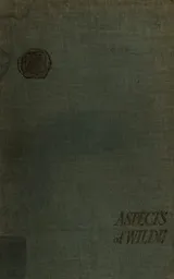 Cover of Aspects of Wilde