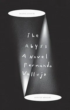 Cover of The Abyss