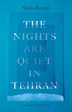 Cover of The Nights Are Quiet in Tehran