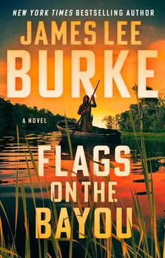 Cover of Flags on the Bayou