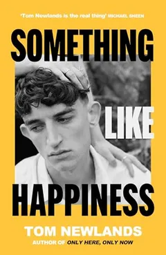 Cover of Something Like Happiness