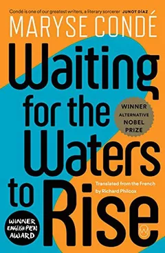 Cover of Waiting for the Waters to Rise