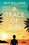 Cover of A Trace of Sun