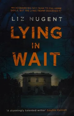 Cover of Lying in Wait