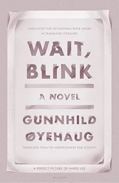 Cover of Wait, Blink