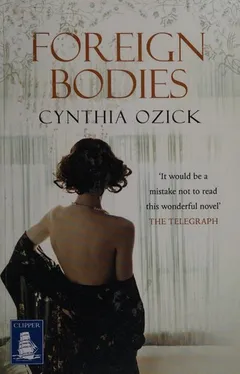 Cover of Foreign Bodies