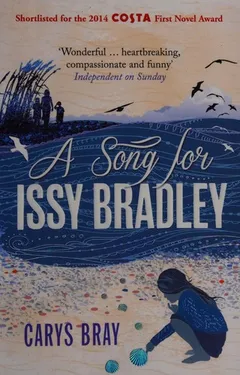 Cover of A Song for Issy Bradley