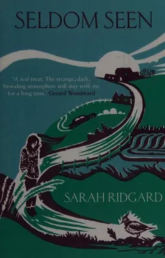 Cover of Seldom Seen