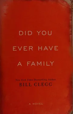 Cover of Did You Ever Have a Family