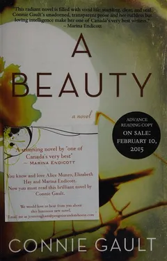 Cover of A Beauty