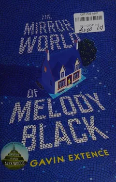 Cover of The Mirror World of Melody Black